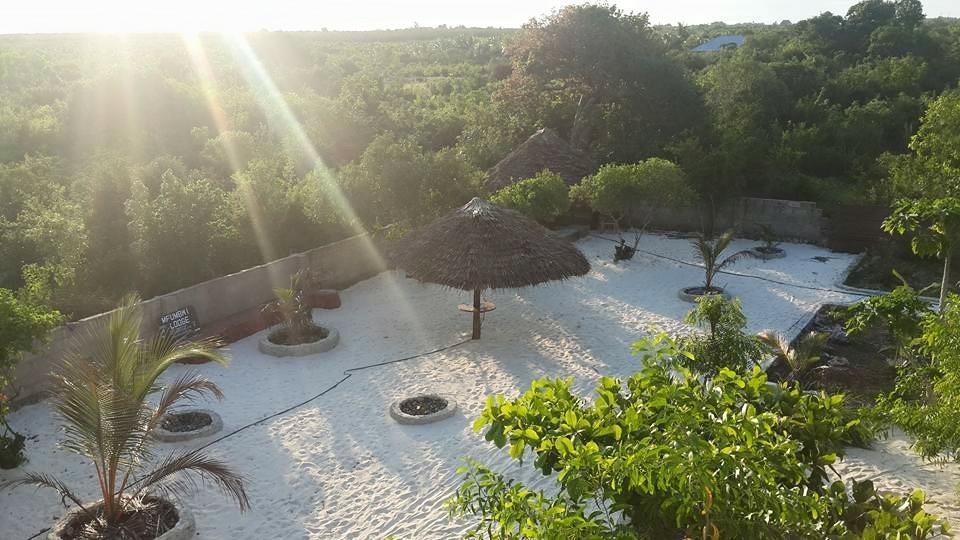 Mfumbwi * Jambiani (Zanzibar)