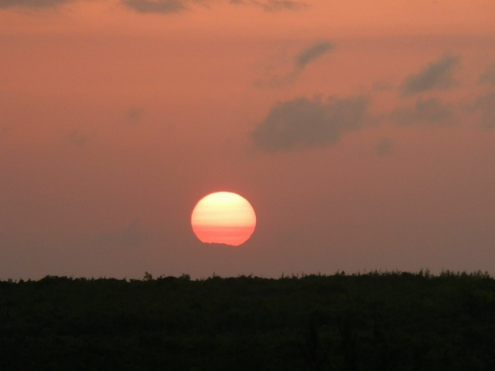 Mfumbwi * Jambiani (Zanzibar)