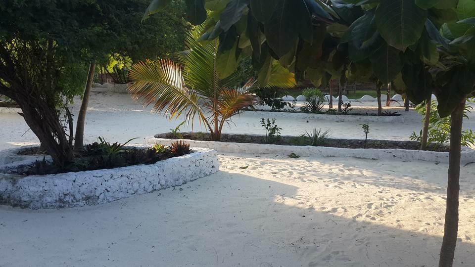 Lodge Mfumbwi Jambiani (Zanzibar)